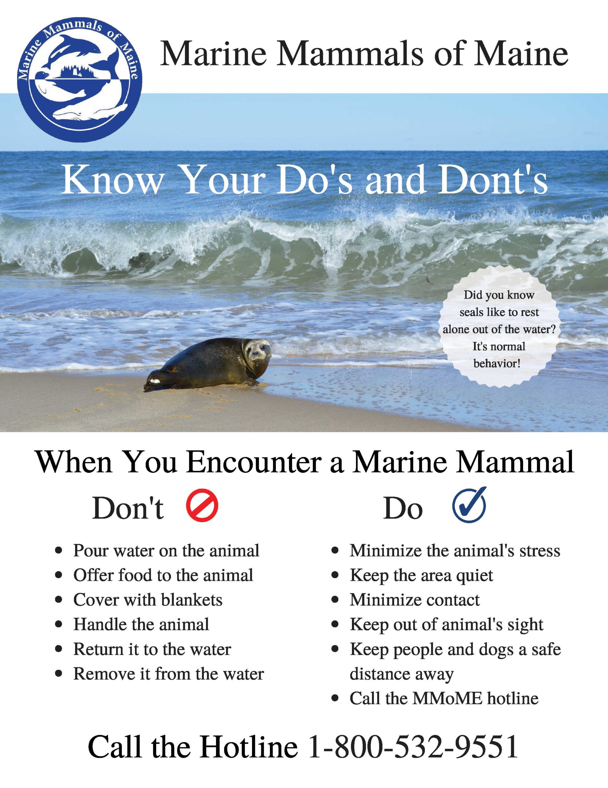 Marine Mammals Of Maine Pup Season Poster