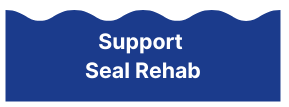 Support Seal Rehab Button